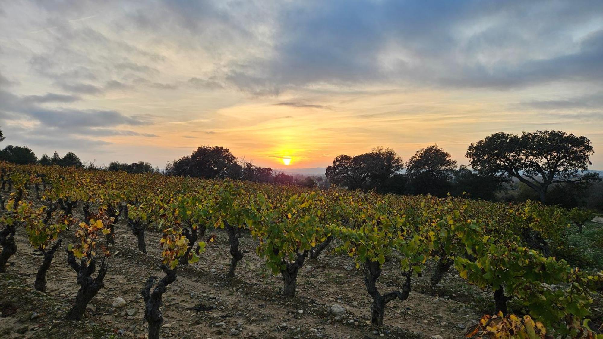 La Maison De Jeanne Narbonne Bagian luar foto