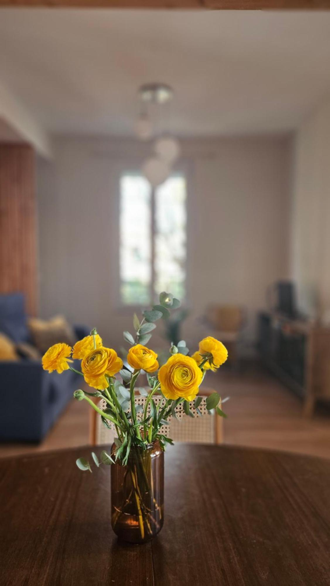 La Maison De Jeanne Narbonne Ruang foto